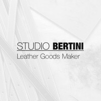 Studio Bertini logo - Similar company to Saritekin