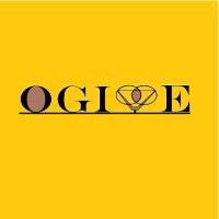 Société d'ingénierie OGIVE solution-expert logo - Similar company to Agitips