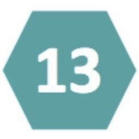 Green 13 Solutions Ltd logo - Similar company to Audit Advisors