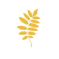 Studio Malia logo - Similar company to Studio Malià