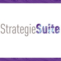 StrategieSuite logo - Similar company to Essention Groep