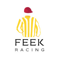 Feek Racing logo - Similar company to Balcombe Grammar School Alumni Association