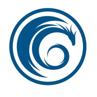 Ritter Dragon logo - Similar company to Adm Hitech