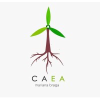 CAEA Mariana Braga logo - Similar company to Stetnet