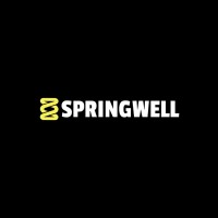 Springwell Port Elizabeth logo - Similar company to Ghrcricket