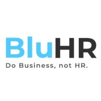 BluHR LLC logo - Similar company to Blu Solutions