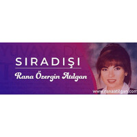 Sıradışı Programı Arşiv- Extraordinary Program Archives logo - Similar company to Bssah
