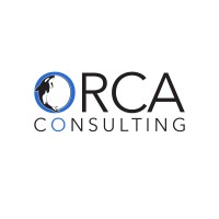 Orca Consulting logo - Similar company to Orca Intelligence