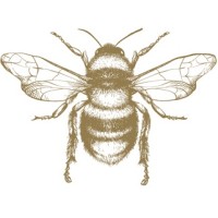 Alice Wheeler London logo - Similar company to Gems Tv