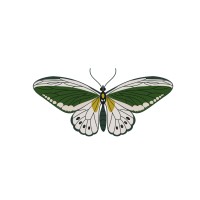 Evora Furnitures Pvt Ltd logo - Similar company to 360 Interior Designs