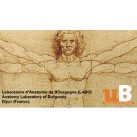 Laboratoire d'Anatomie de BOurgogne (LABO, Dijon, France) logo - Similar company to Umdpcs (Unité Mixte De Développement Professionnel Continu En Santé)