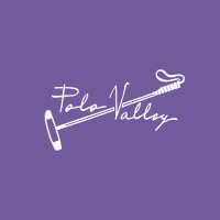 Polo Valley logo - Similar company to Medici Financial Modeling Inc.