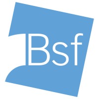 BSF Srl logo - Similar company to Indipendente