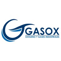 Gasox Bolivia logo - Similar company to Voltx