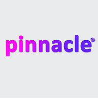 Pinnacle Business Solutions logo - Similar company to Pixalogic Solutions