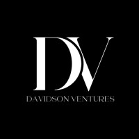 Davidson Ventures logo - Similar company to Triangle Solutions