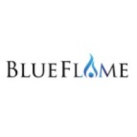 BlueFlame Digital Capital Group logo - Similar company to Blueflame Technology Solutions