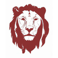 Alpium Capital logo - Similar company to Joinsteer