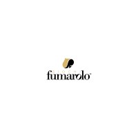 GIOCHI FUMAROLO S.R.L. logo - Similar company to Okite