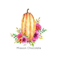 Mission Chocolate logo - Similar company to Bean Bar You