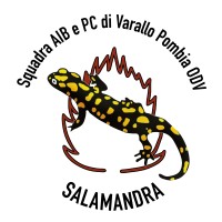 Squadra AIB e PC di Varallo Pombia ODV - Salamandra logo - Similar company to Gruppo Rental