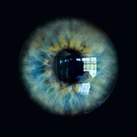 Pixel Collector Photography logo - Similar company to Photo Collect