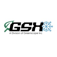 GSX logo - Similar company to Inca Systems