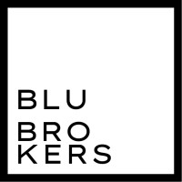 Blu Brokers logo - Similar company to Blubroker Srl