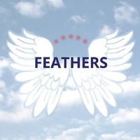 Feathers Project logo - Similar company to Preddio Technologies Inc.