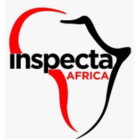 Inspecta Africa logo - Similar company to Puffin Technology Ltd