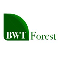 BWT FOREST DOO logo - Similar company to Brico Wood Trade