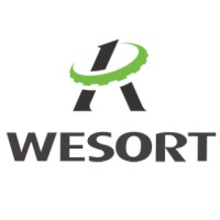 Wesort logo - Similar company to Color Sorting Machine | China Intelligent Ccd Color Sorter | Intelligent Ccd Color Sorter Supplier