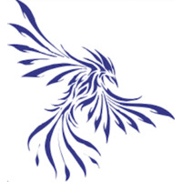 IBS Flightcases LLC logo - Similar company to Chase Realty