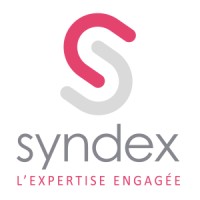 Syndex logo - Similar company to Breizhou