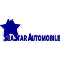 Sea Star Automobile logo - Similar company to Beito Auto