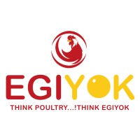 EGIYOK logo - Similar company to Nextwavve