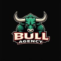 Bull Agency logo - Similar company to Gdt Agency