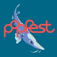Popfest Wien logo - Similar company to Morinoko