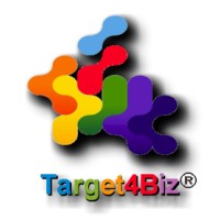 Target4Biz 💥 Web agency 360º logo - Similar company to Nano It Cybersecurity