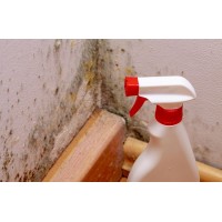 Mold Experts of Alpharetta logo - Similar company to Relief Remediation
