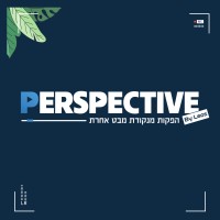 Perspective LTD logo - Similar company to Leos Media & Interactive