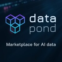 DataPondAI logo - Similar company to Dibla