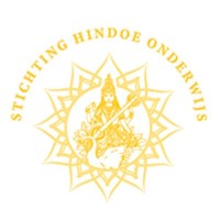 SHON logo - Similar company to Intelligence Group International