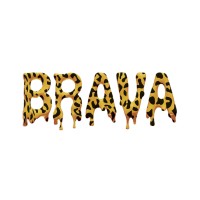 ESTUDIO BRAVA logo - Similar company to Iguana 4 Studio
