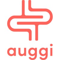 auggi logo - Similar company to Vizufi