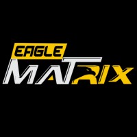EagleMatrix Pvt. Ltd logo - Similar company to Stackfuse Ltd.