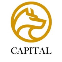 LIMA CHARLIE CAPITAL logo - Similar company to Igloo Asia