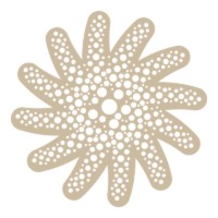 Asterozoa Capital logo - Similar company to Simplify Asset Management