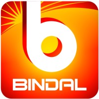 Valley Iron & Steel Company Limited logo - Similar company to Indian Steel Company (Isco)