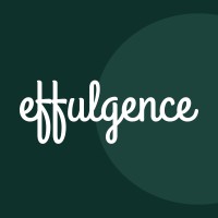 Effulgence Inc logo - Similar company to Bitstek Consulting